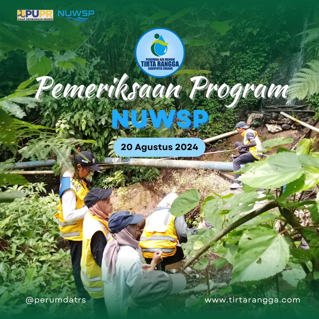 PEMERIKSAAN PROGRAM NUSWP